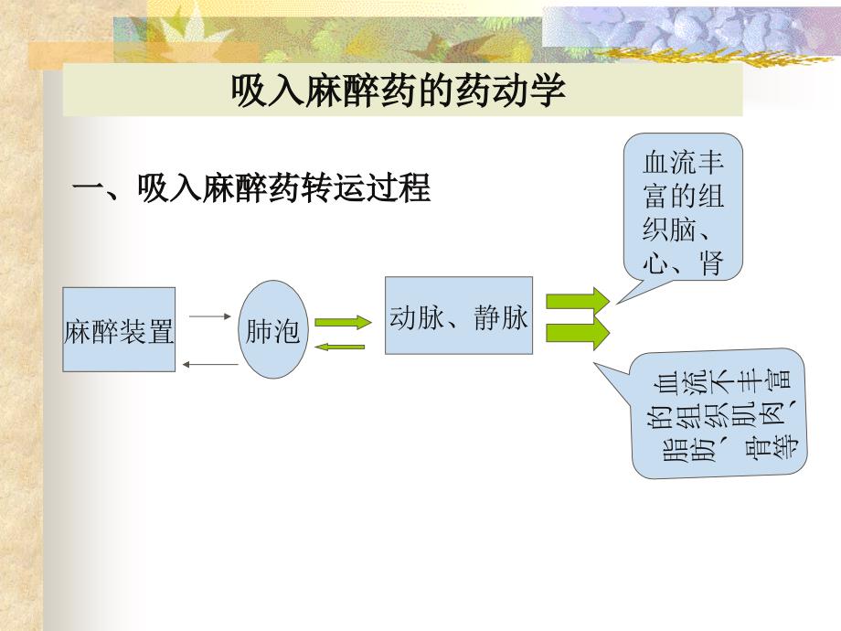 吸入麻醉药-药效和药动ppt课件_第2页