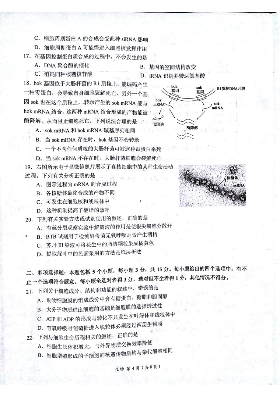 江苏省南通市如东县、徐州市丰县高三生物10月联考试题（PDF无答案）_第4页