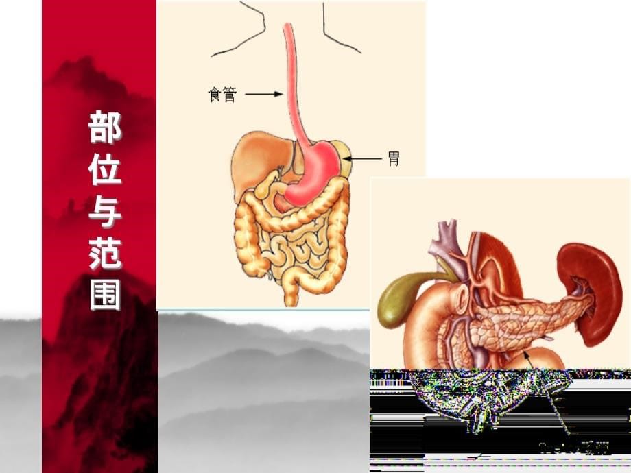 上消化道出血h_第5页