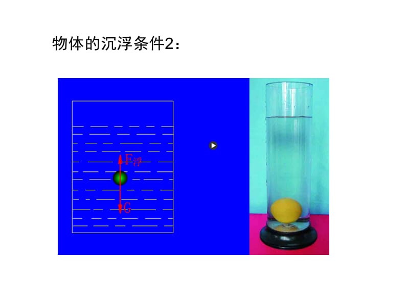 新人教版八年级物理下册物体浮沉条件及应用课件教学内容_第4页