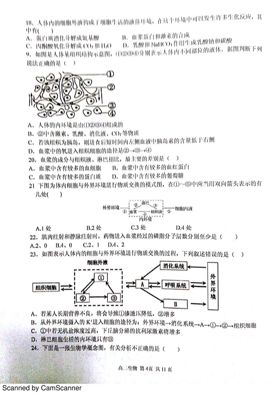 河北省学年高二生物上学期期中试题（PDF）_第4页