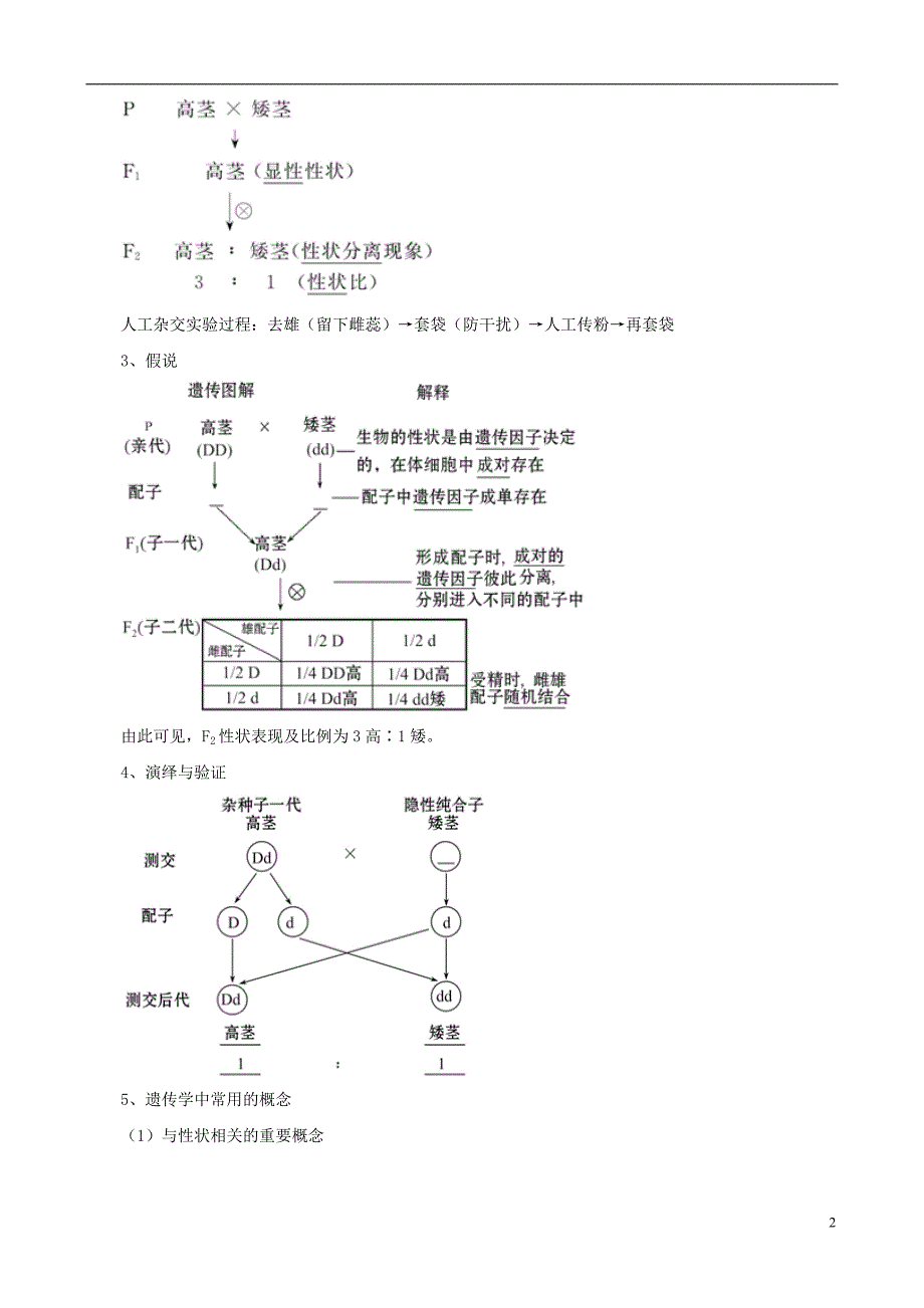 2013版高考生物一轮精品复习 1.1 孟德尔的豌豆杂交实验（一）学案 新人教版必修2.doc_第2页