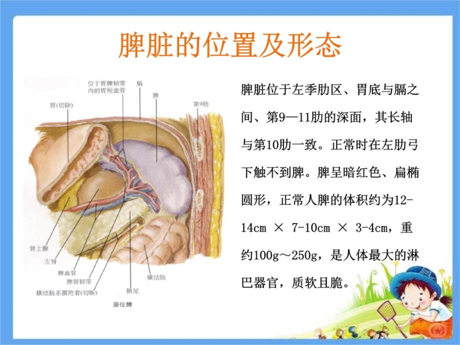 外伤性脾破裂的护理教学提纲_第3页