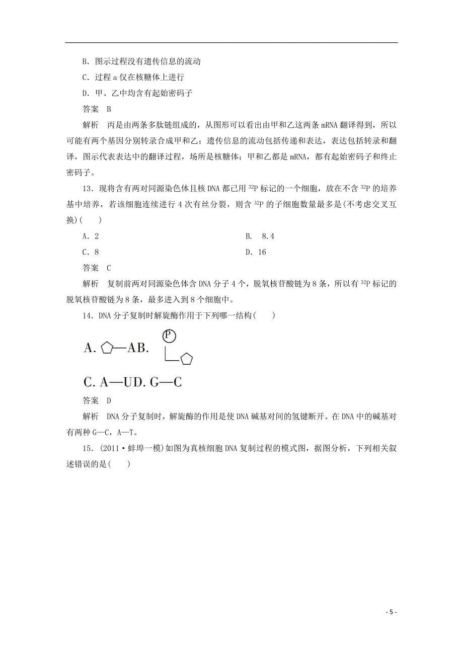 2013届高考生物二轮复习 遗传的分子基础2测试题 新人教版.doc_第5页