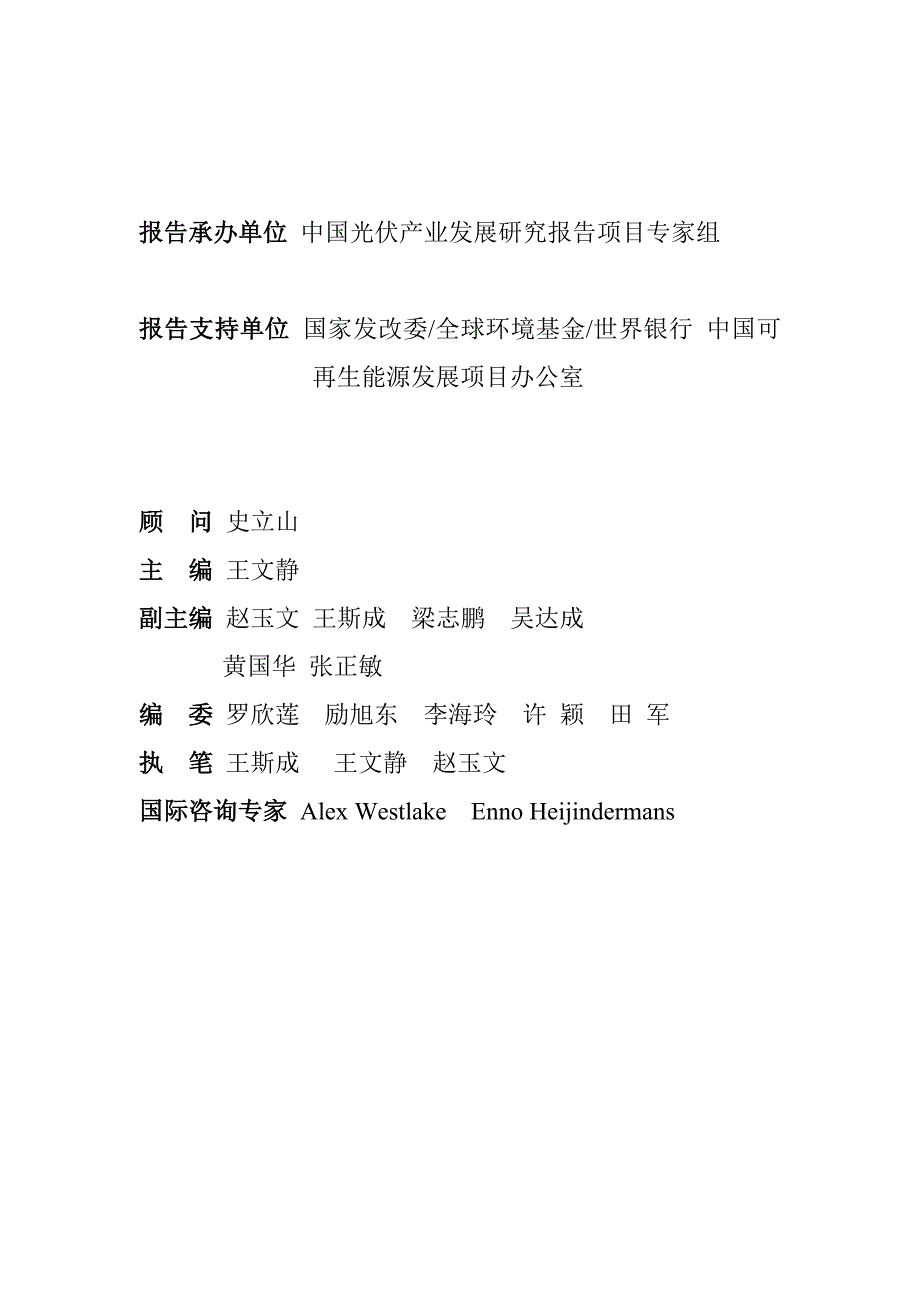 2020年(发展战略）中国光伏产业发展报告__第2页