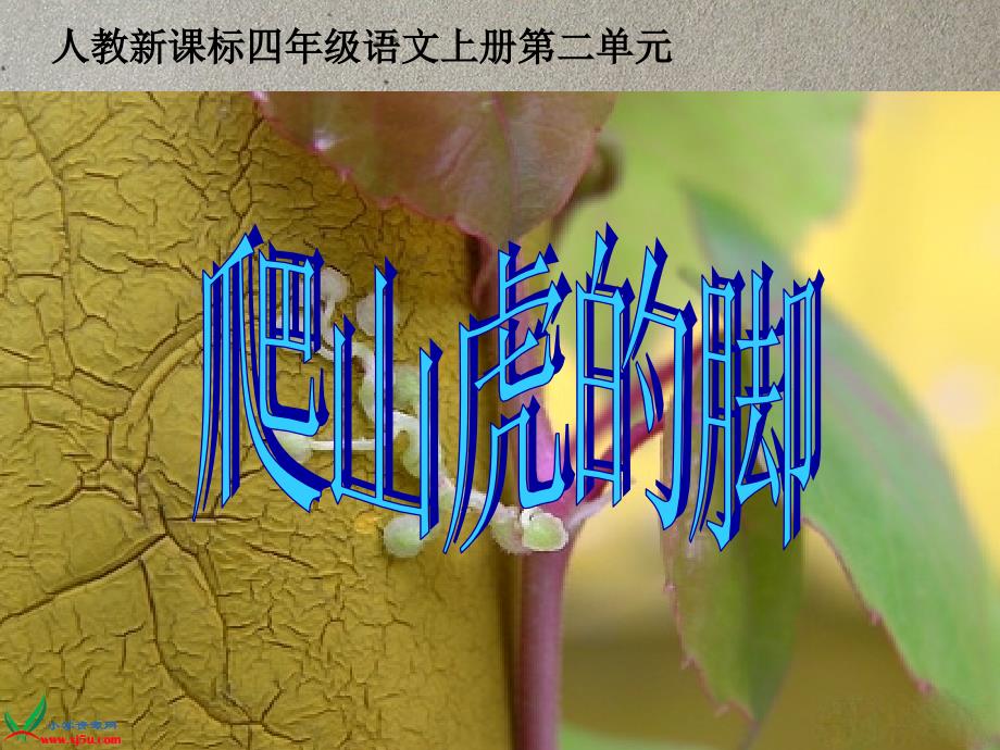 《(人教新课标)四年级语文上册课件爬山虎的脚4 (1)》-精选课件（公开PPT）_第3页