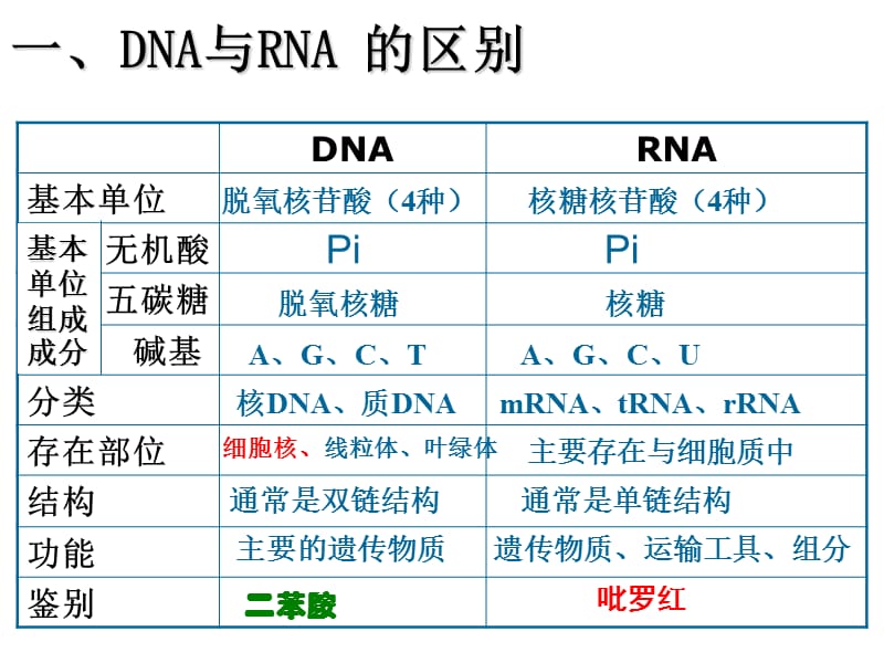 一轮复习---基因的表达学习资料_第2页