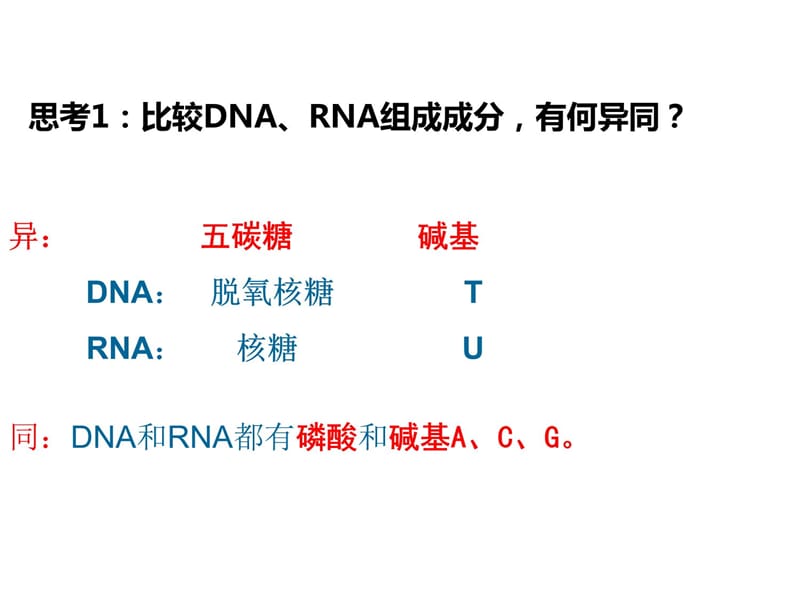 一轮复习---基因的表达学习资料_第3页