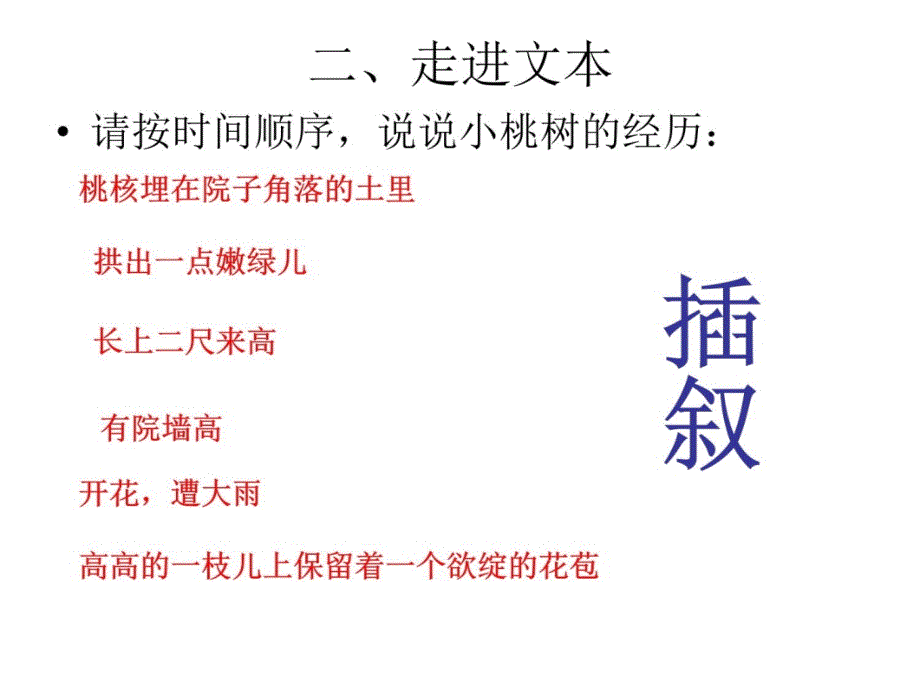 一棵小桃树教案资料_第3页