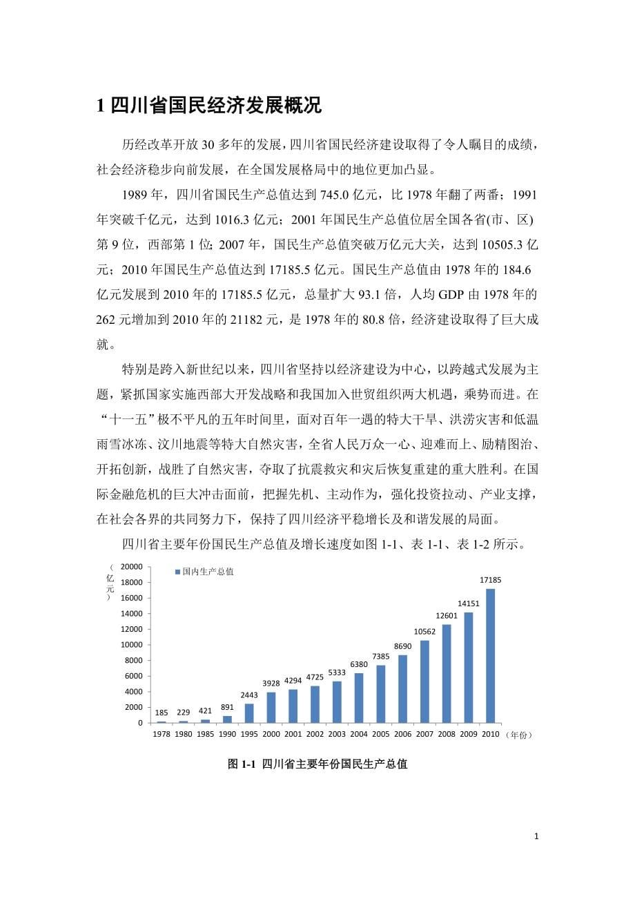 2020年(发展战略）四川省中长期能源发展战略(-2030)__第5页