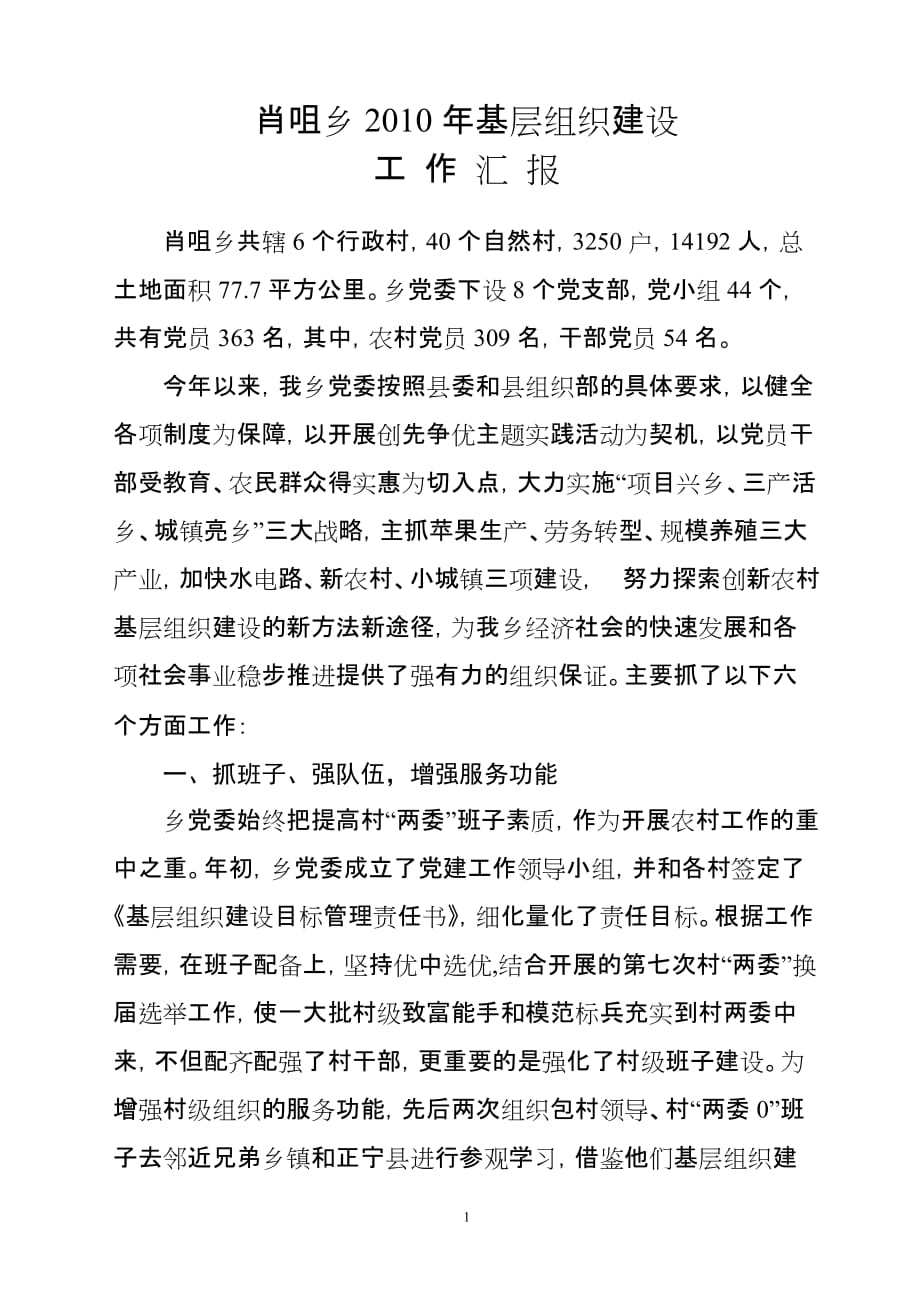 2020年(工程总结）肖咀乡XXXX年基层组织建设工作总结__第1页