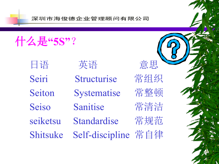 《5S培训资料》-精选课件（公开PPT）_第4页