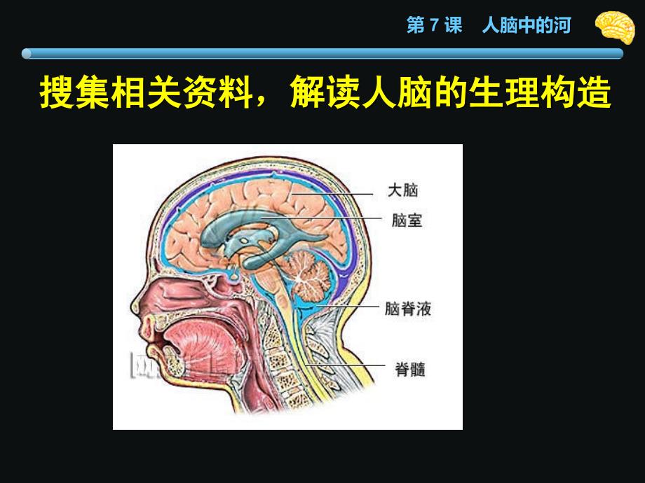 《7人脑中的河》-精选课件（公开PPT）_第4页