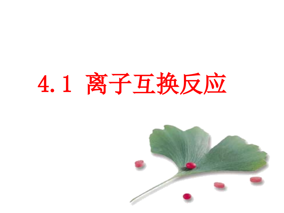 4.1离子互换反应d.ppt_第2页