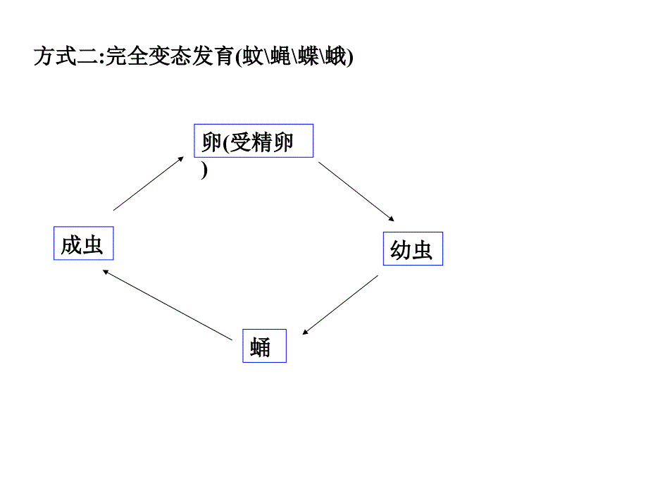 九年级科学生命的延续复习.ppt_第2页