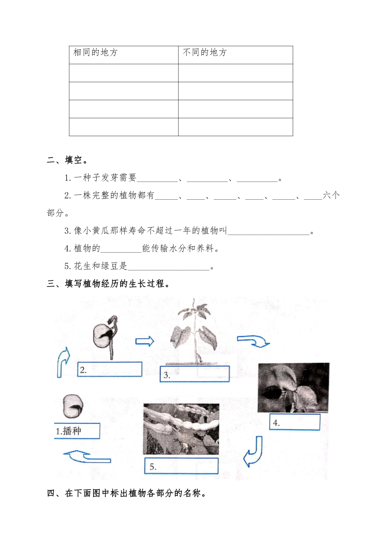 最新大象版四年级科学下册全册1到八单元练习题加 期末卷（附答案）_第5页