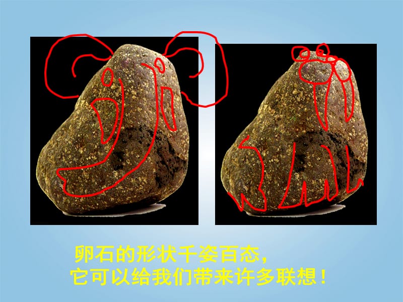 三年级美术下册 卵石动物造型1课件 人美版.ppt_第2页