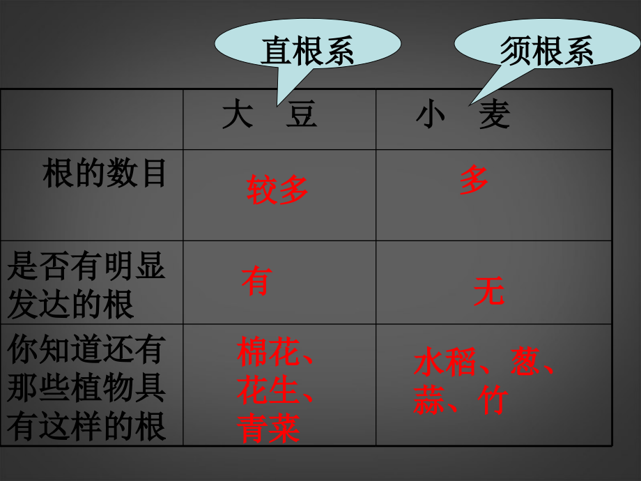 浙江省泰顺县新城学校八年级科学下册《3.3 植物与土壤》课件 浙教版.ppt_第4页