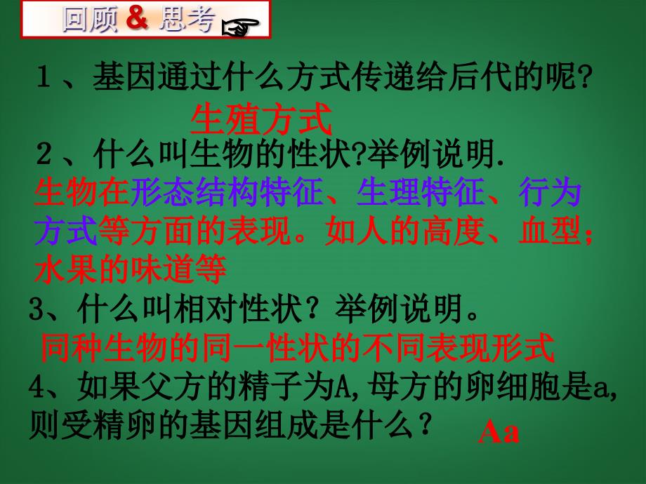 天津市滨海新区塘沽盐场中学八年级生物下册 7.2.3 基因的显性和隐性课件2 新人教版.ppt_第2页