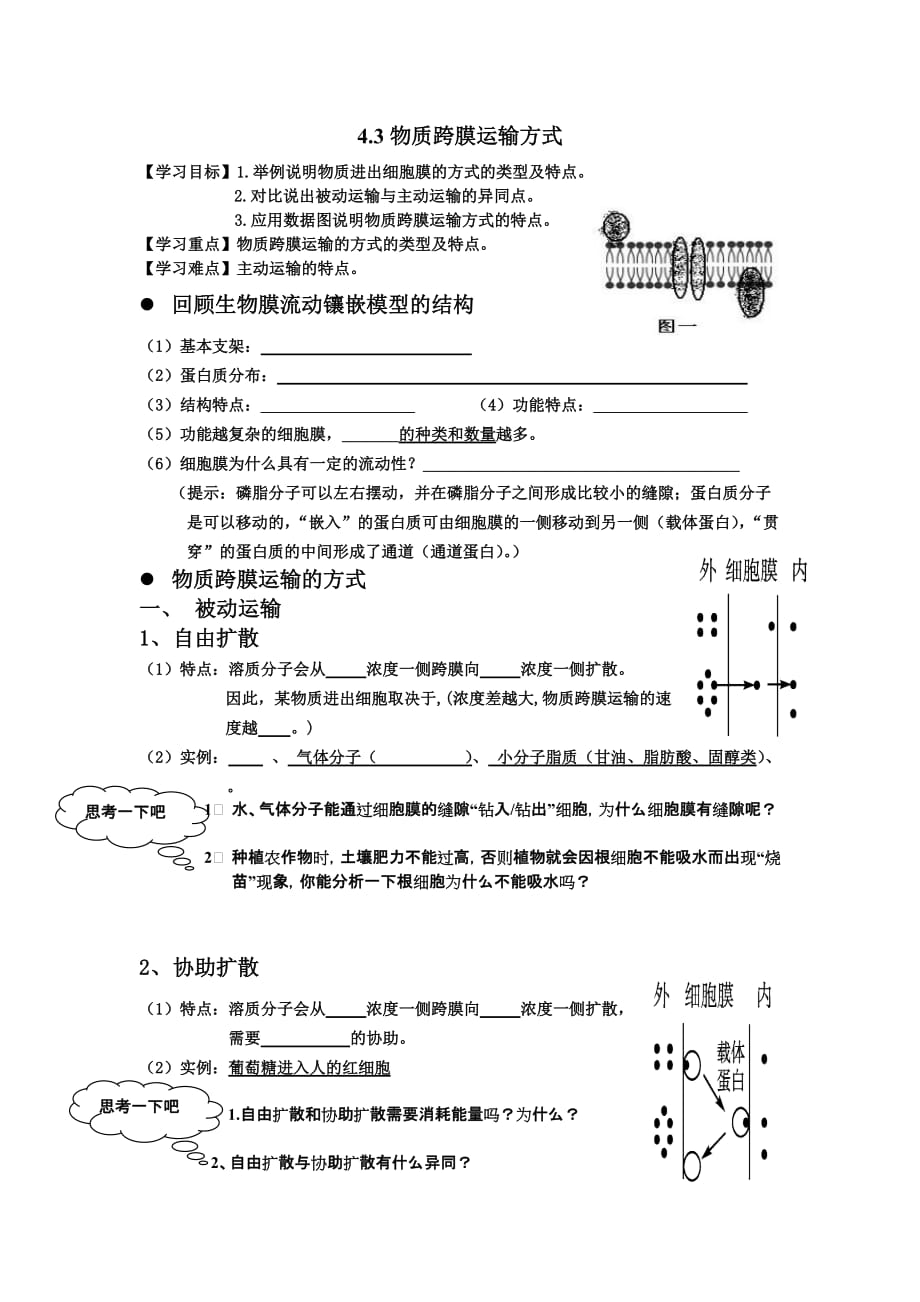 4.3物质的跨膜运输方式.doc_第1页