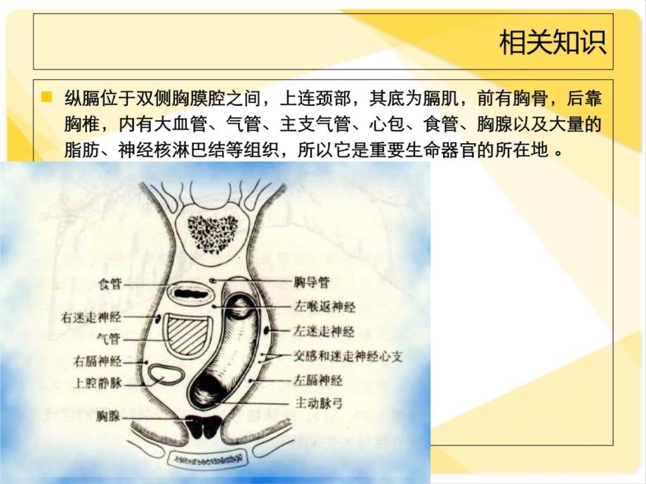 纵膈肿瘤护理查房知识讲稿_第3页