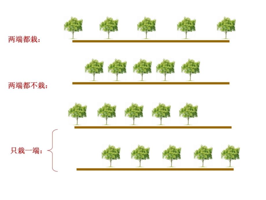 植树问题《间隔数与数的棵树之间的关系》教案资料_第3页