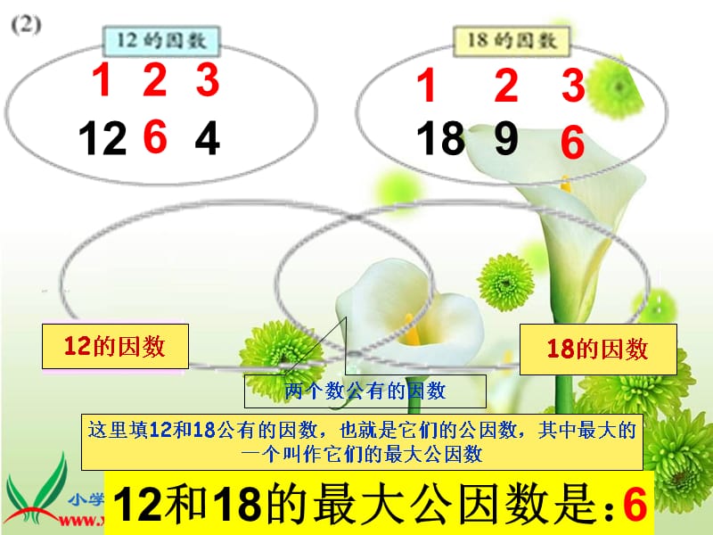 《北师大版数学五年级上册《找最大公因数》-精选课件（公开PPT）_第5页