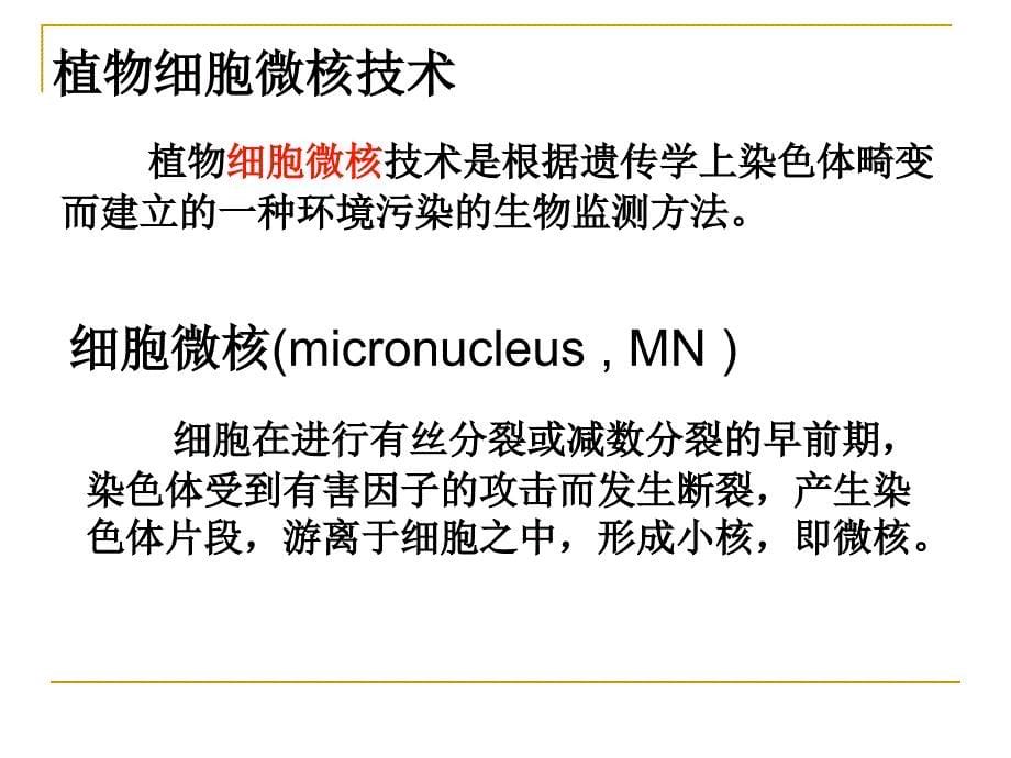 《蚕豆根尖细胞微核技术在环境污染监测中应用》-精选课件（公开PPT）_第5页