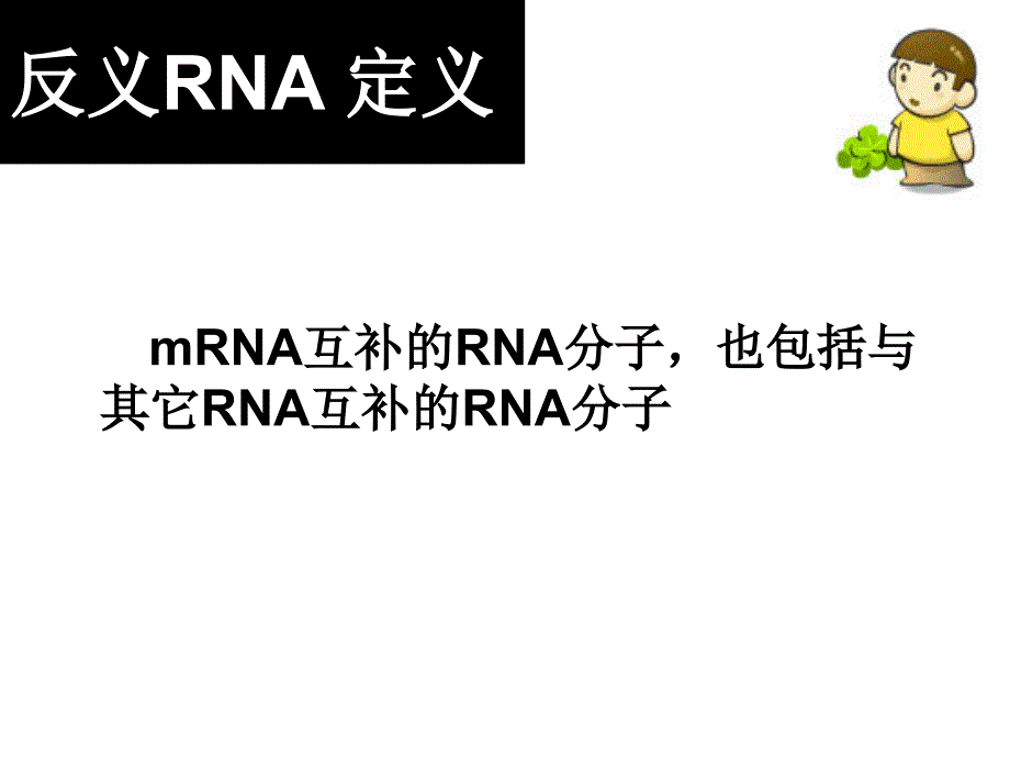 《反义RNA结构作用机制》-精选课件（公开PPT）_第3页