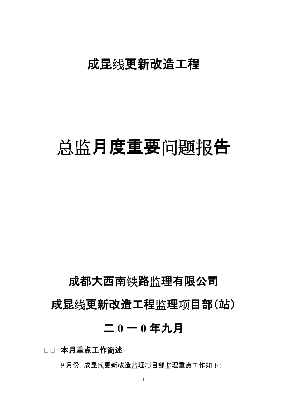 2020年(年度报告）总监月度重要问题报告_第1页