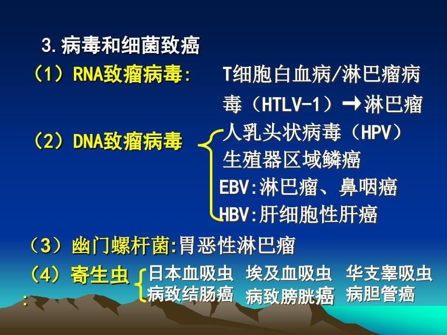 《肿瘤的病因》PPT课件ppt课件_第5页