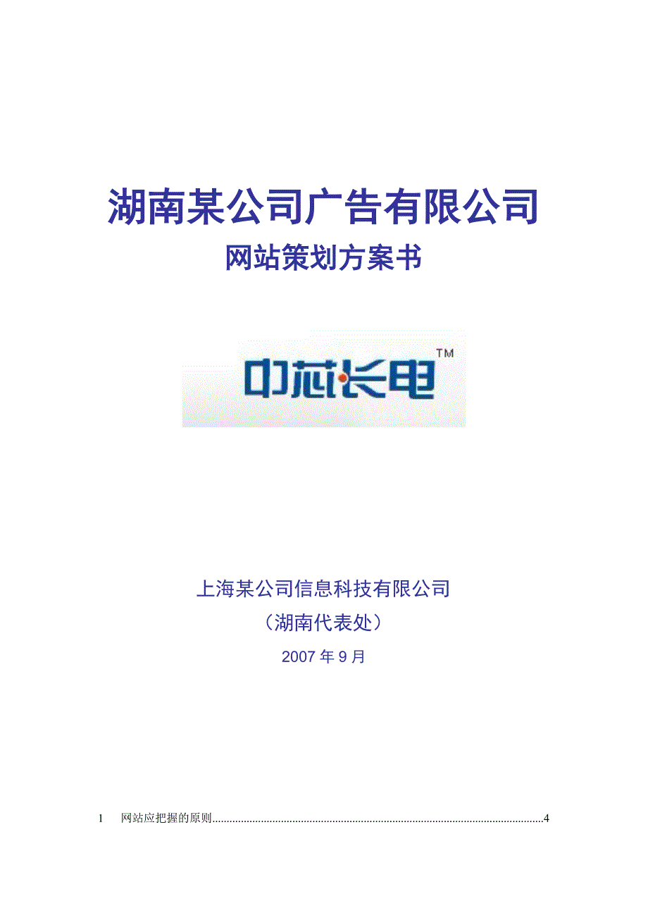 大型网站策划方案详细步骤过程_第1页