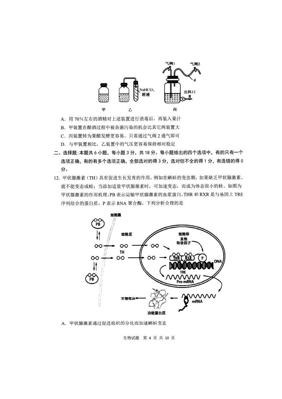 山东省青岛市2020届高三二模 生物（图片版含答案）_第4页