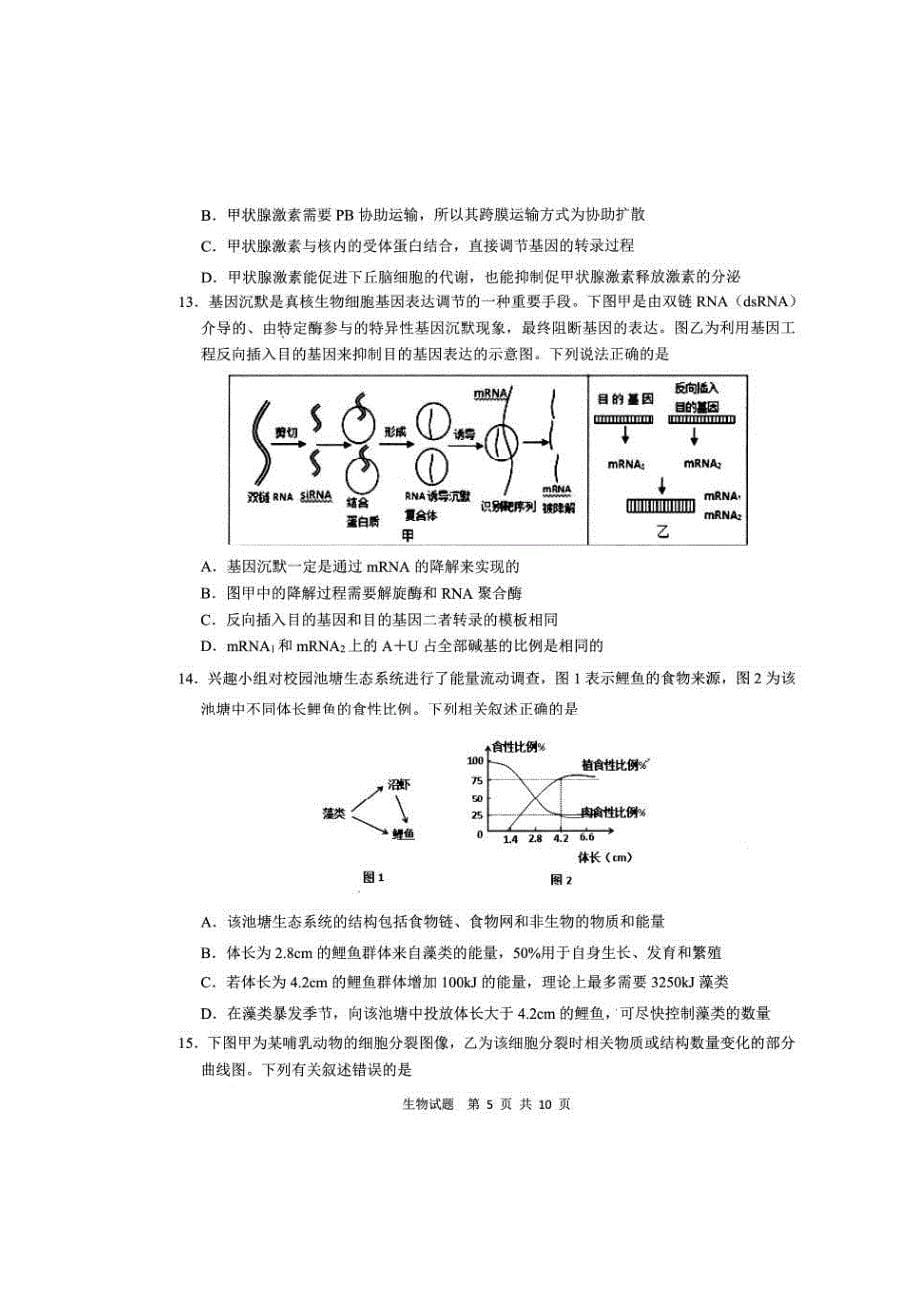 山东省青岛市2020届高三二模 生物（图片版含答案）_第5页