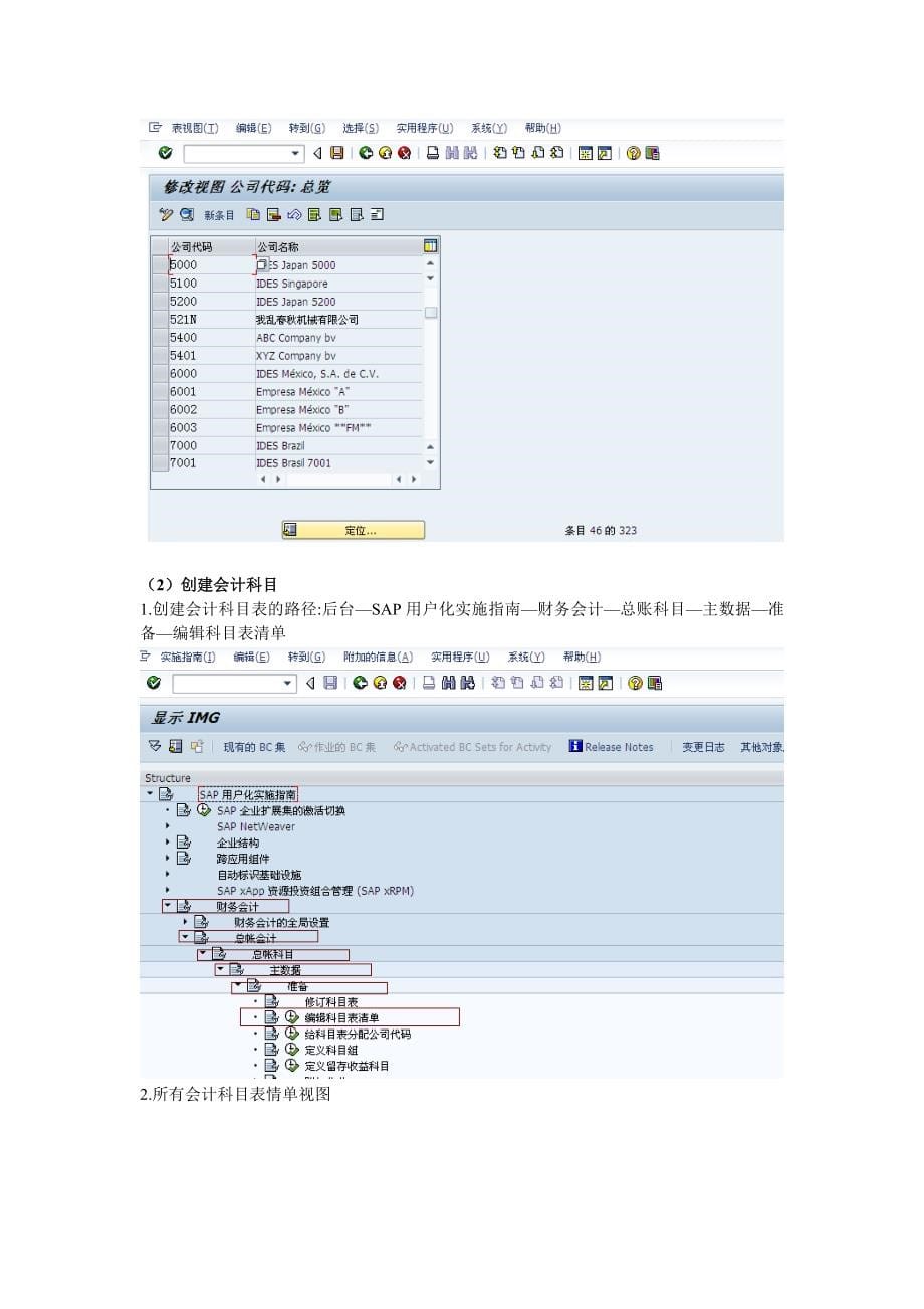 SAP FI 模块的100小时操作过程.doc_第5页