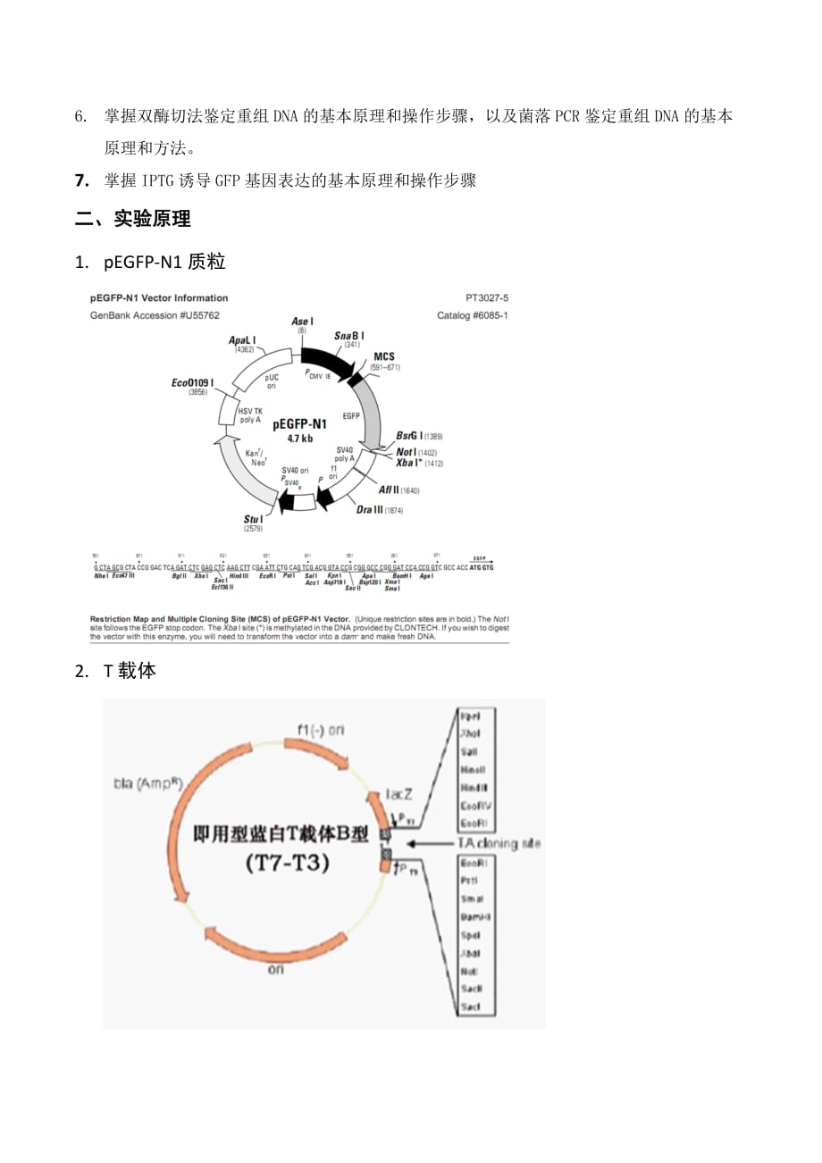 南方医科大学分生实验-绿色荧光蛋白(EGFP)的基因克隆.doc_第2页