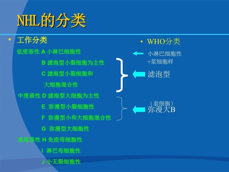 《非霍奇金淋巴瘤诊疗指南》-精选课件（公开PPT）_第5页