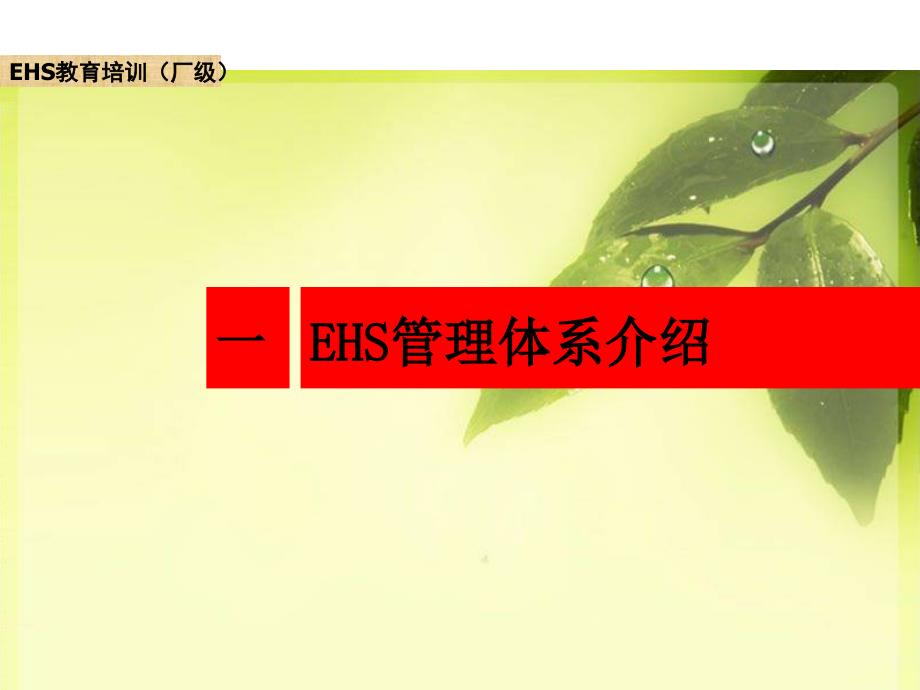 EHS培训（厂级）44页_第3页