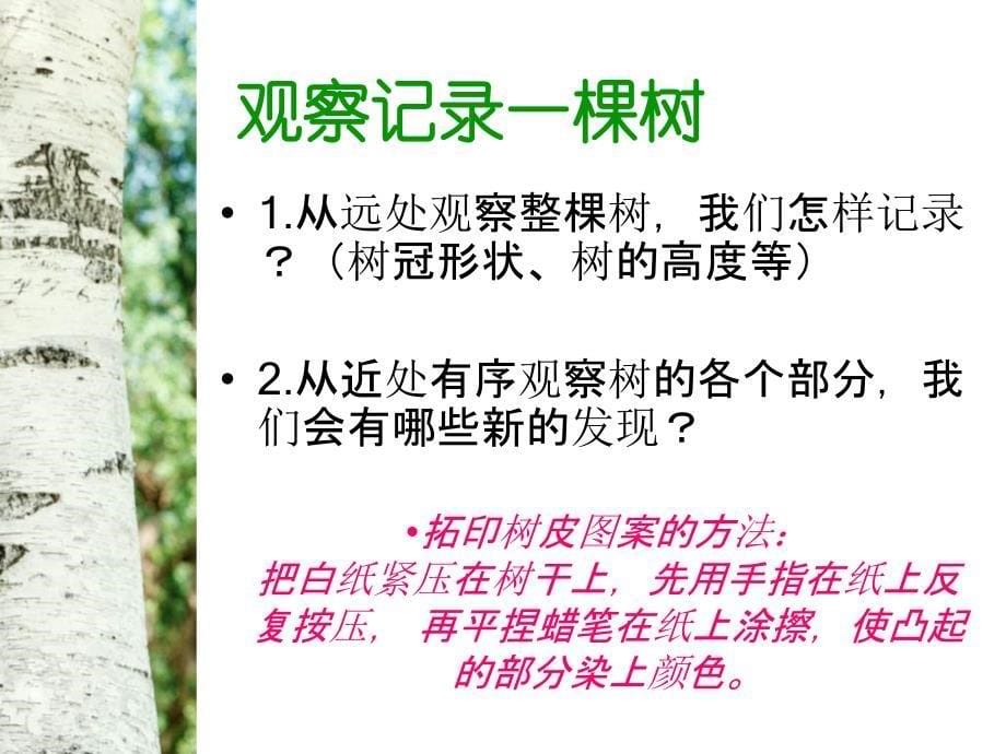 教科版小学三年级上册科学《1.2、校园的树木》教学课件(11)_第5页