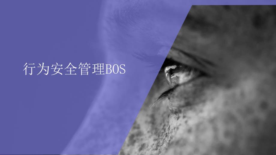 行为安全管理BOS-23页_第1页