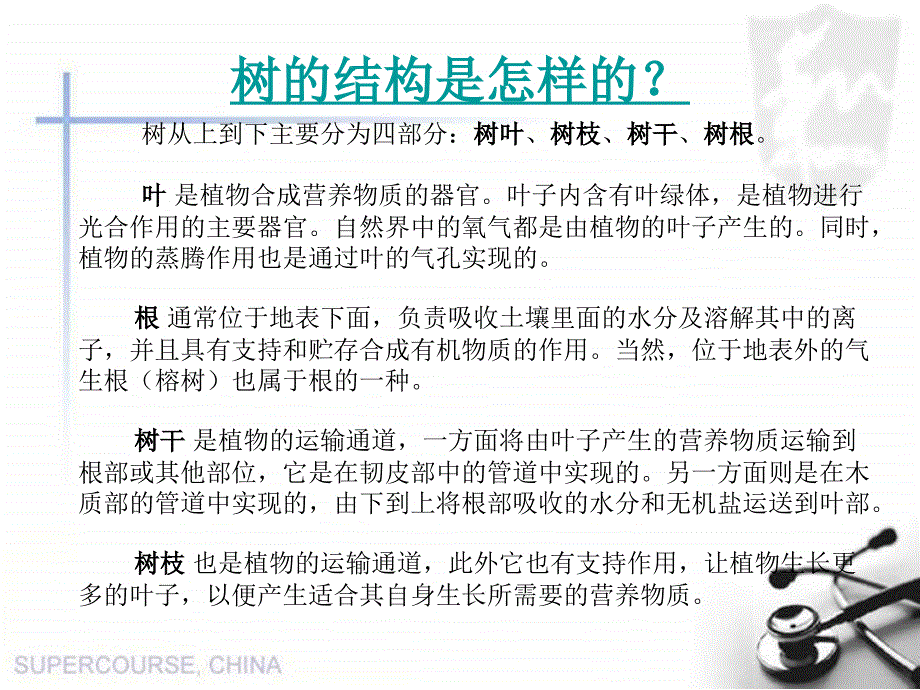 教科版小学三年级上册科学《1.2、校园的树木》教学课件(10)_第1页