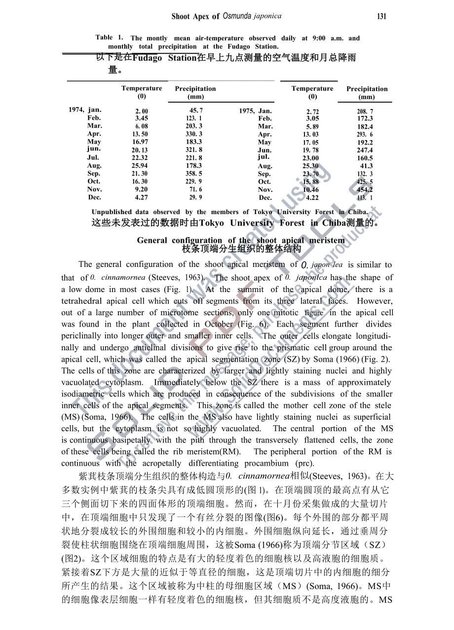 《生物工程外文翻译--关于紫萁枝条尖的解剖研究（中英文对照）》-公开DOC·毕业论文_第5页