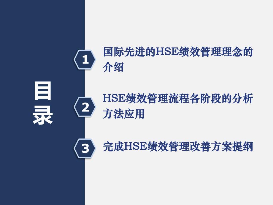 中石油HSE绩效管理方案策划-65页_第3页