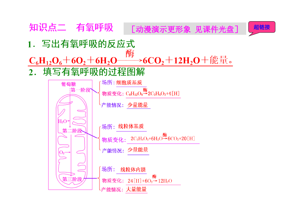 2015届《三维设计》高考生物一轮精品课件：1.3.2ATP的主要来源--细胞呼吸_第3页