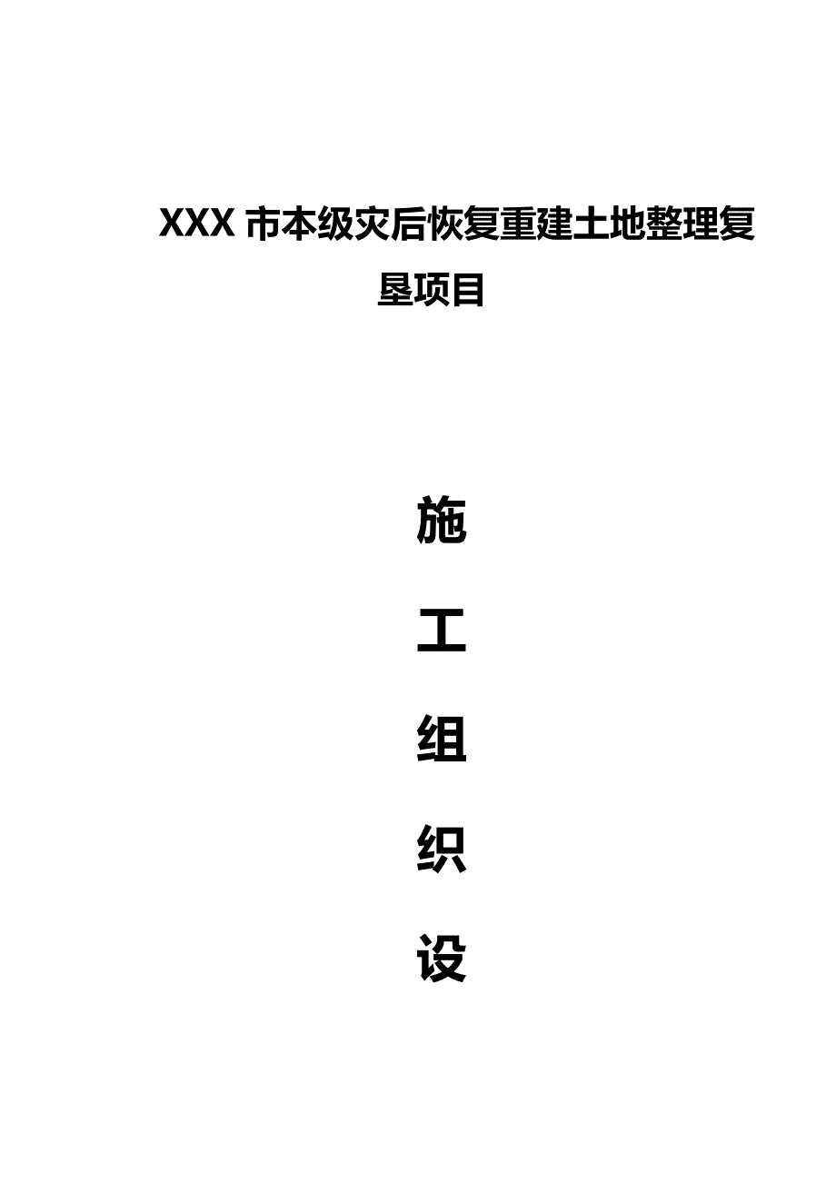 2020年（项目管理）土地整理复垦项目施工组织设计_第2页