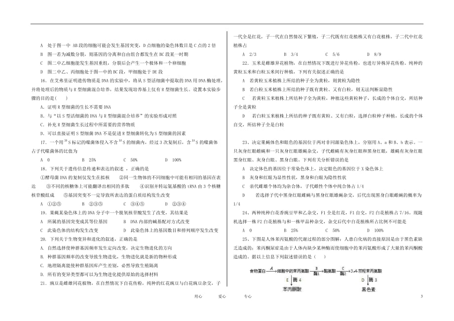 河南省巩义二中2012届高三生物上学期期中考试试题新人教版.doc_第3页