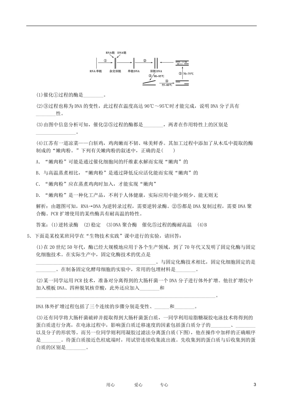 2012届高三生物一轮复习 蛋白质和DNA技术专题训练.doc_第3页