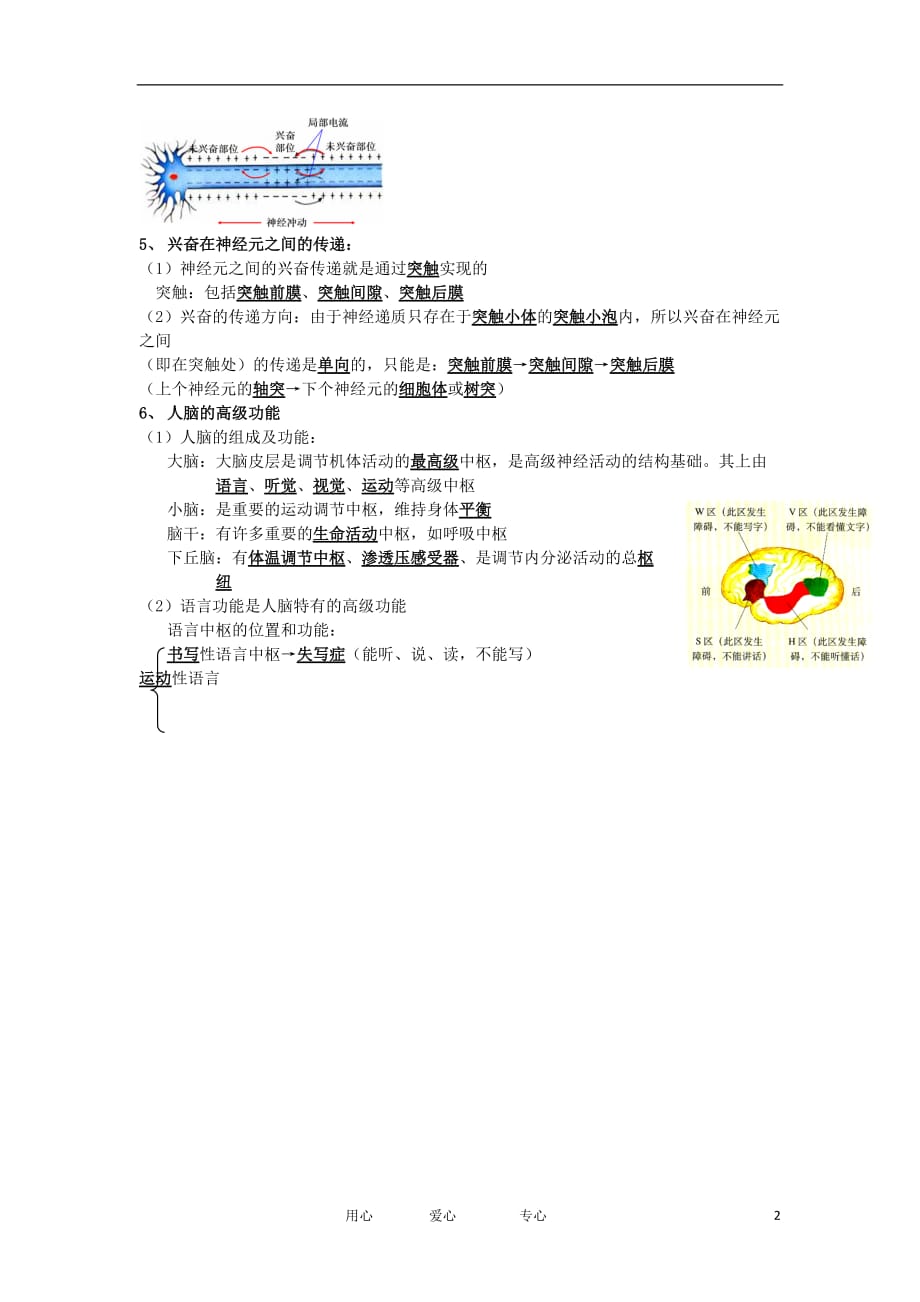 河北省广平一中高三生物总复习学案 026 神经调节（艺术班）.doc_第2页