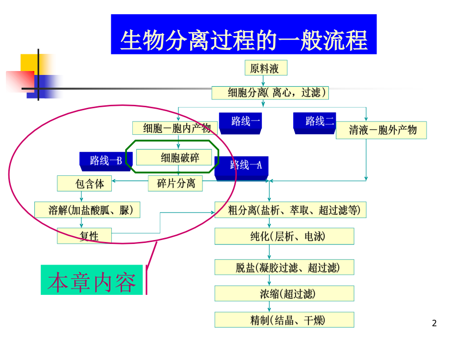 第十五章细胞破碎培训资料_第2页