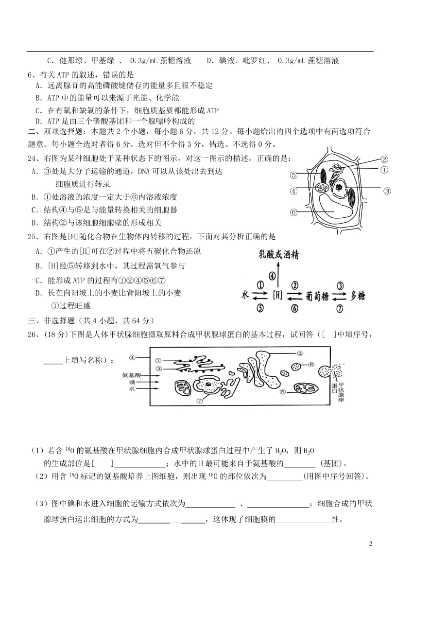 广东省2012届高三生物第一次阶段考试题新人教版【会员独享】.doc_第2页